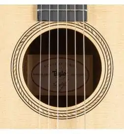 Taylor Academy 12e-N Lefthand