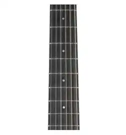 Taylor Academy 12e-N Lefthand