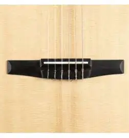 Taylor Academy 12e-N Lefthand