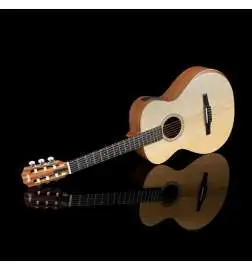 Taylor Academy 12e-N Lefthand