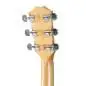 Taylor 110ce-Sapele Lefthand