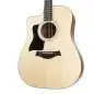 Taylor 110ce-Sapele Lefthand