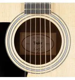 Taylor 110ce-Sapele Lefthand