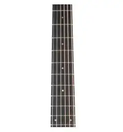 Taylor 110ce-Sapele Lefthand