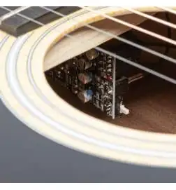 Taylor 110ce-Sapele Lefthand
