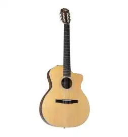 Taylor 214ce-N