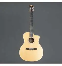 Taylor 214ce-N