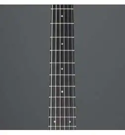 Taylor 214ce-N