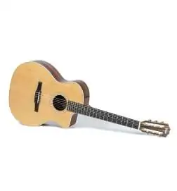Taylor 214ce-N