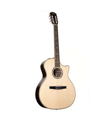 Taylor 814ce-N Nylon