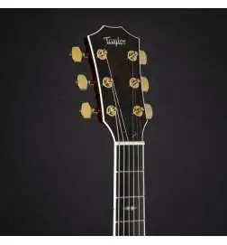 Taylor T5z Custom Koa Shaded Edgeburst