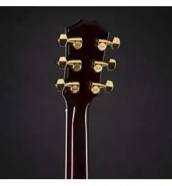 Taylor T5z Custom Koa Shaded Edgeburst