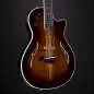 Taylor T5z Custom Koa Shaded Edgeburst Taylor T5z Custom Koa Shaded Edgeburst