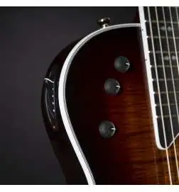 Taylor T5z Custom Koa Shaded Edgeburst
