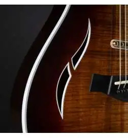 Taylor T5z Custom Koa Shaded Edgeburst