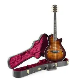 Taylor T5z Custom Koa Shaded Edgeburst