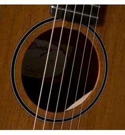 Taylor Baby Mahogany