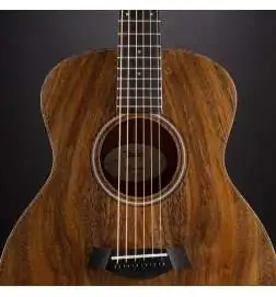 Taylor GS Mini-e Koa