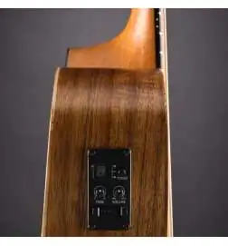 Taylor GS Mini-e Koa