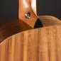 Taylor GS Mini-e Koa