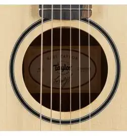 Taylor Baby Taylor BT1e