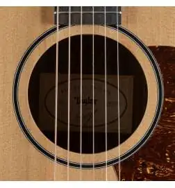Taylor Big Baby Taylor BBTe