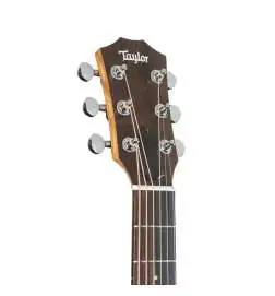 Taylor GS Mini Mahogany