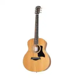 Taylor GS Mini Mahogany
