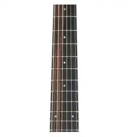 Taylor GS Mini Mahogany