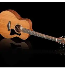 Taylor GS Mini Mahogany