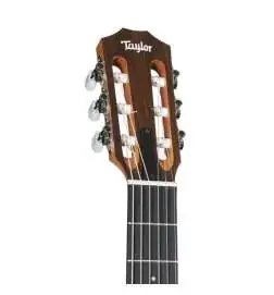 Taylor Academy 12e-N