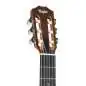 Taylor Academy 12e-N