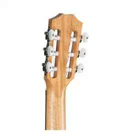 Taylor Academy 12e-N