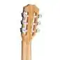 Taylor Academy 12e-N