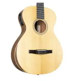 Taylor Academy 12e-N