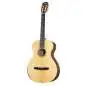 Taylor Academy 12e-N