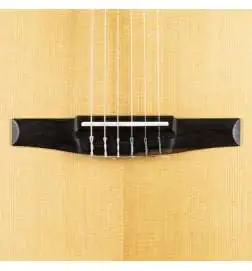 Taylor Academy 12e-N