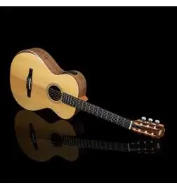 Taylor Academy 12e-N