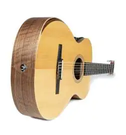 Taylor Academy 12e-N