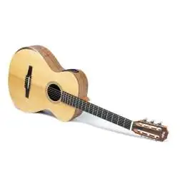 Taylor Academy 12e-N