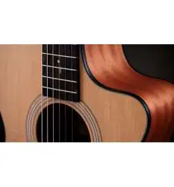 Taylor 112ce-N