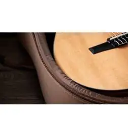 Taylor 112ce-N