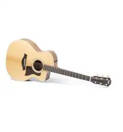 Taylor 214ce