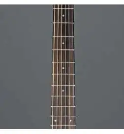 Taylor 114ce-S