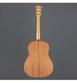Taylor 117e