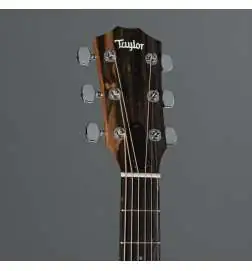 Taylor 117e