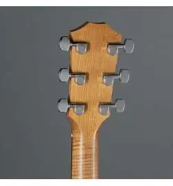 Taylor 117e