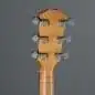 Taylor 117e
