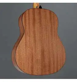 Taylor 117e