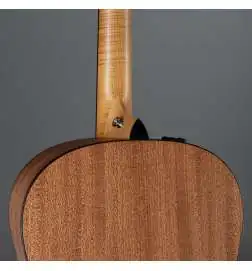 Taylor 117e